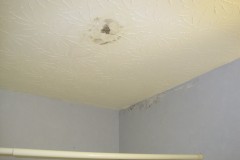 Bathroom1
