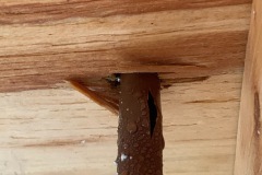 water damage from a burst pipe