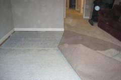 Cat 3 carpet removal