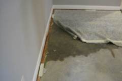 Cat 3 damage