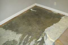 cat 3 removing pad