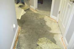 Cat 3 pad removal and carpet removal