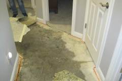 Cat 3 pad removal and carpet removal-2
