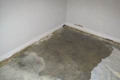 CAT 3 pad removal 2