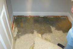 Cat 3 pad removal and carpet removal-3