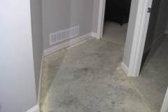 water damage drying out phase