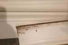 mold on trim