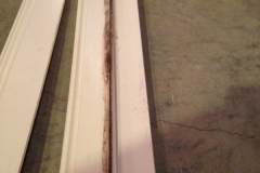 trim with mold