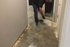 Spraying Benefect