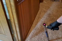 moisture sensor detecting wet carpet and pad