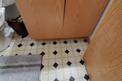 before-pic