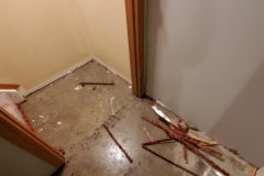 water damage Blanchester 5