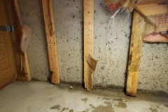 water damage Blanchester 7