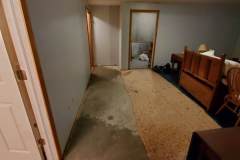 water damage wet carpet removed